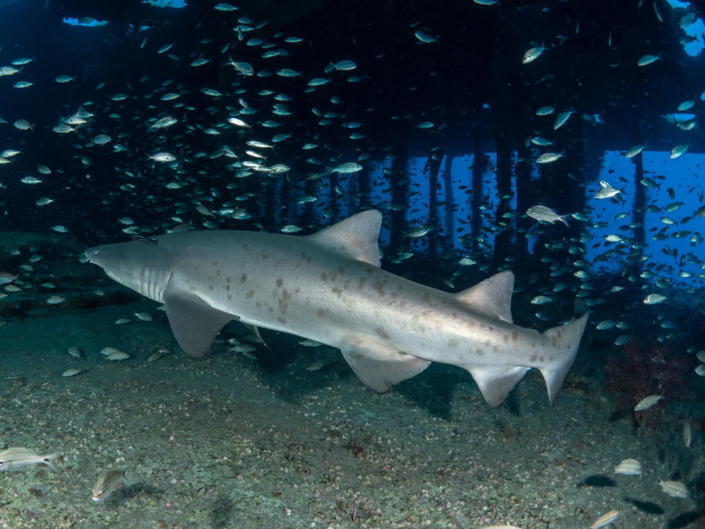 60f2a475-f29f-4a23-afdf-b045bbaf70e0