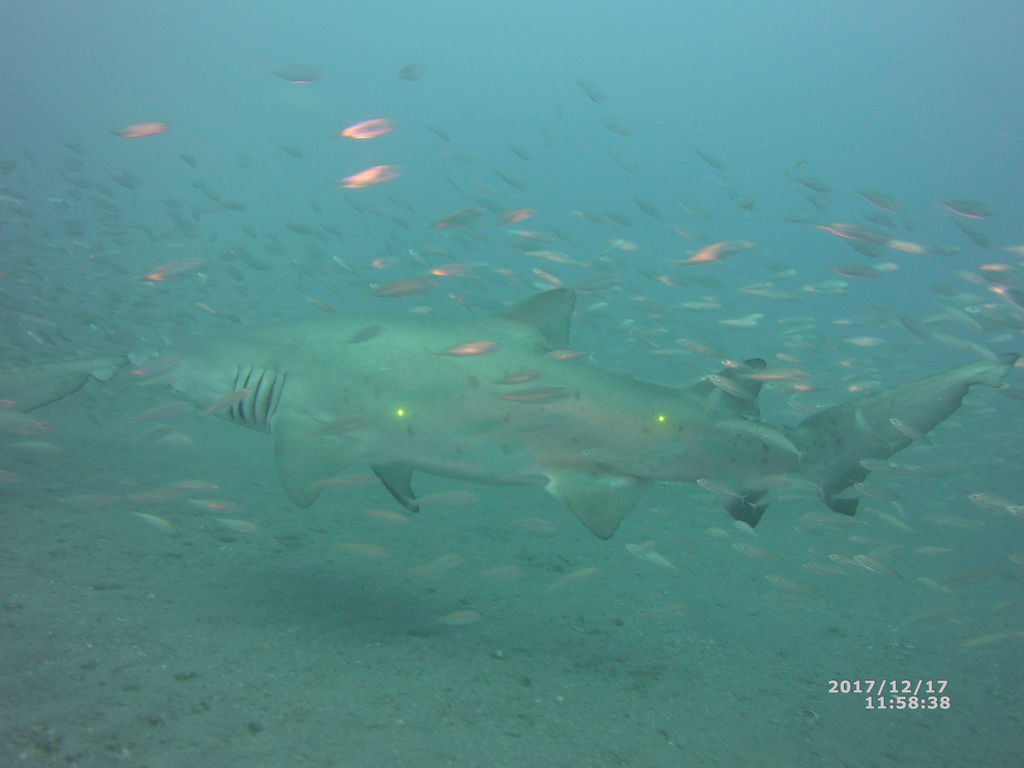 a8670c07-6d1b-4def-9e47-8f9de7e8f5b4