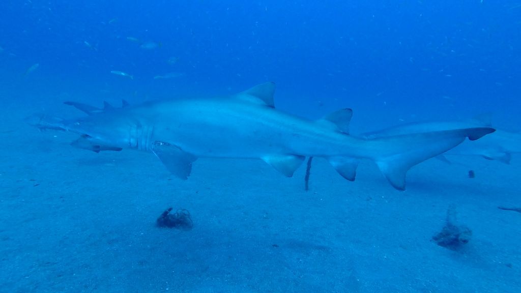 b0c94ae3-e830-4633-9be1-6f3cb0baef93