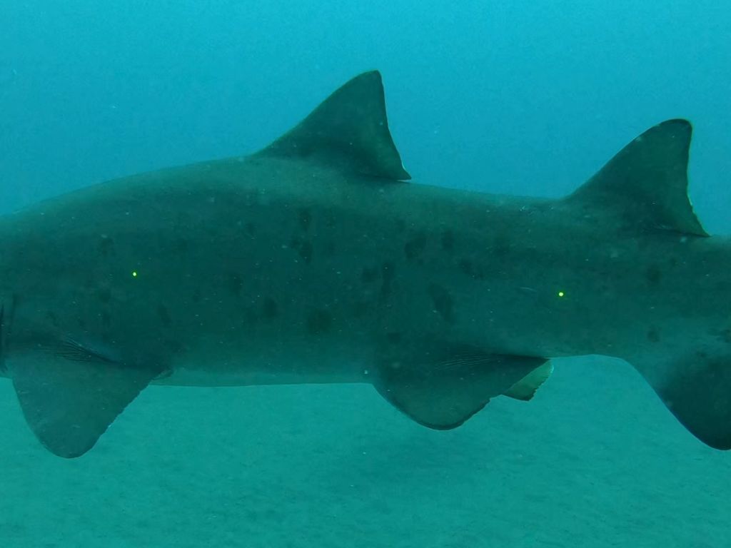 0bfb0beb-85d7-4e1b-98ee-8b870d90abe8