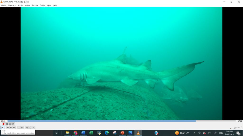 be60a120-d62a-46ac-88ab-2e526650cd70