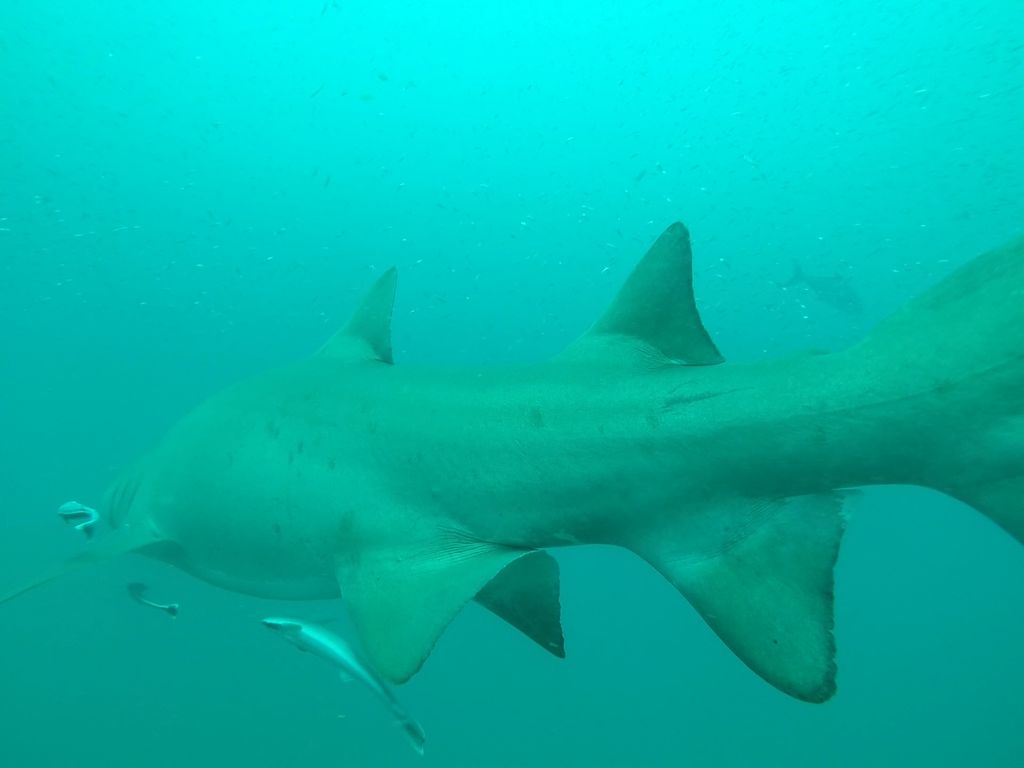 b0f23934-0443-4aab-80b5-9fb3014ce090