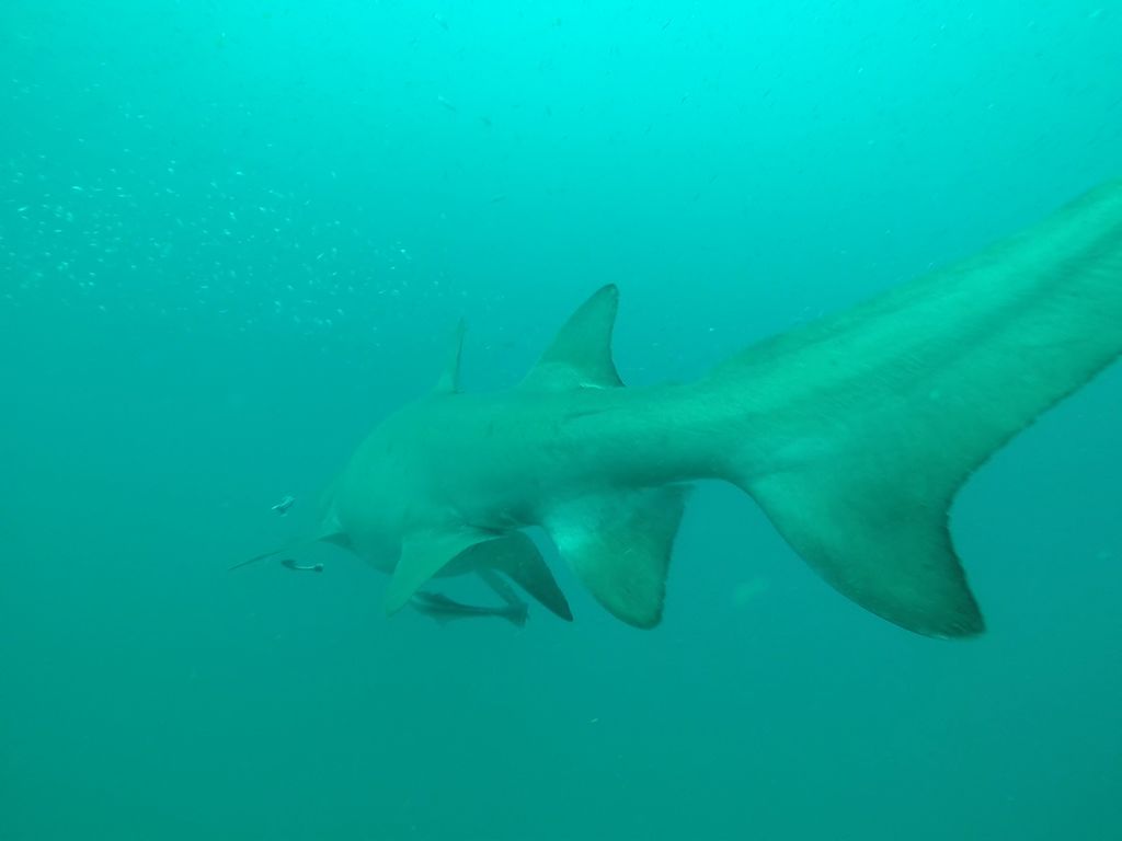 b0f23934-0443-4aab-80b5-9fb3014ce090