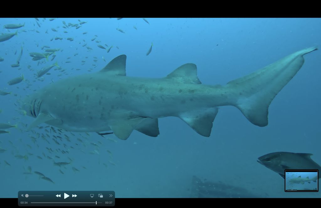 b17c7f61-cd57-4dc4-a773-303e8afbcd99