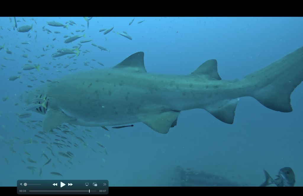 b17c7f61-cd57-4dc4-a773-303e8afbcd99