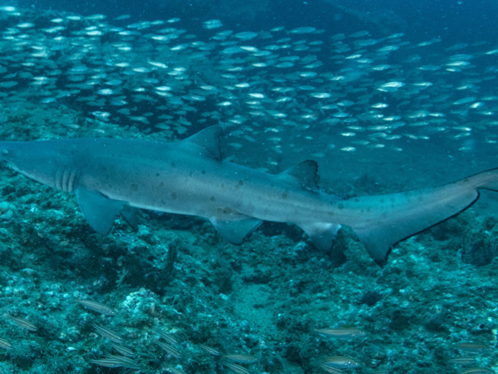 5b8bb8b1-ae4f-43b2-8a01-89757f9cd7e1