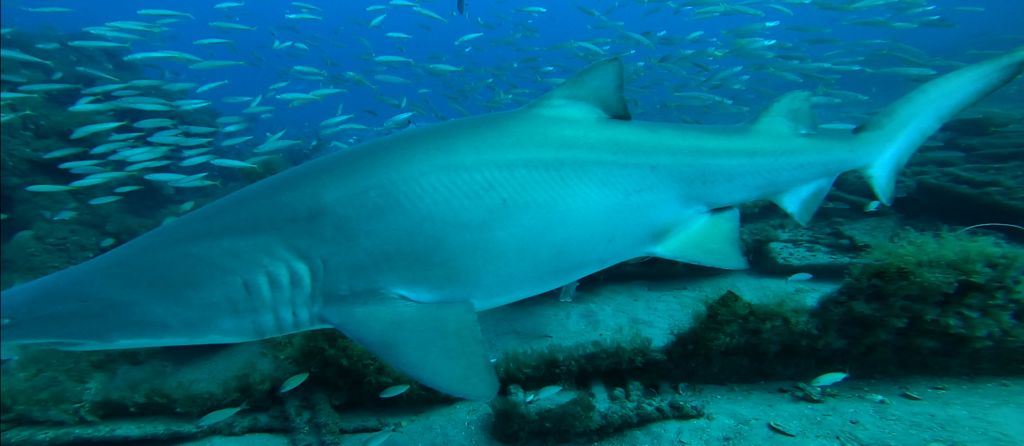 16fdbf5b-6222-49a6-a648-168ea637751f