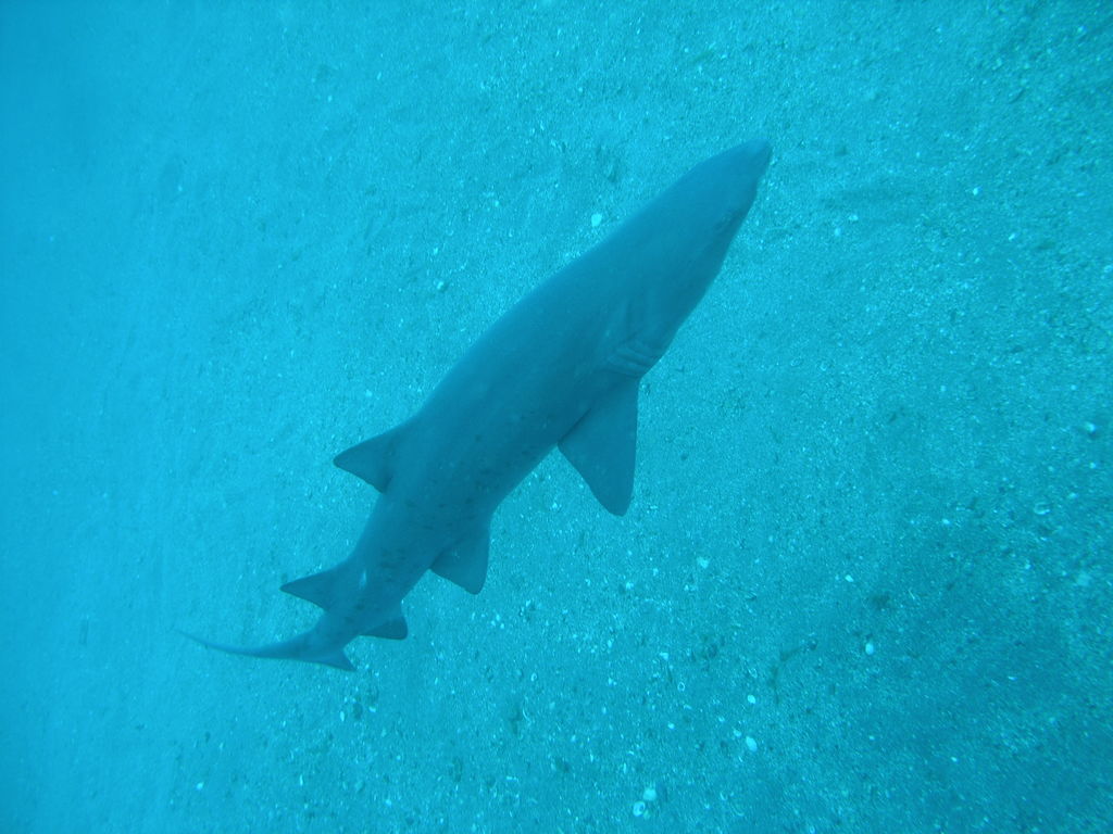 77393572-3b82-4346-875b-e36f2a2df6a4