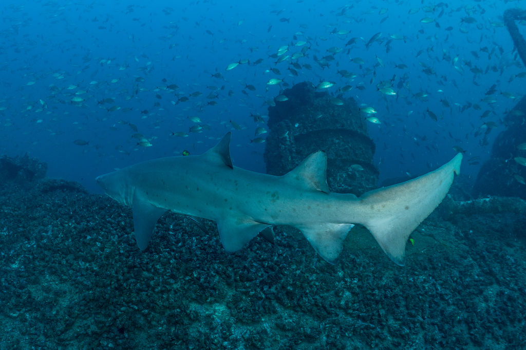 1fdae7f6-15ef-4991-9d91-b1dbb2795527