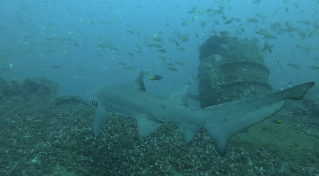 1fdae7f6-15ef-4991-9d91-b1dbb2795527