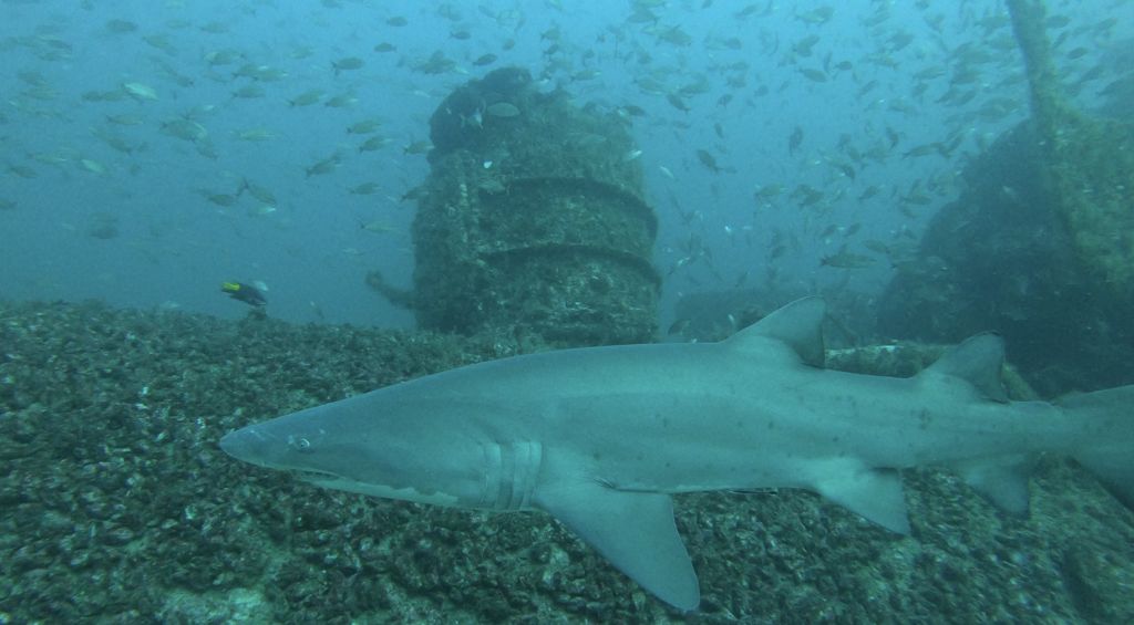 1fdae7f6-15ef-4991-9d91-b1dbb2795527