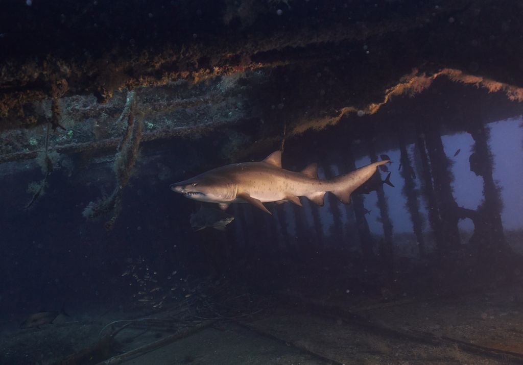 2e9b18a5-a8ee-4f7f-b662-a3479536035a