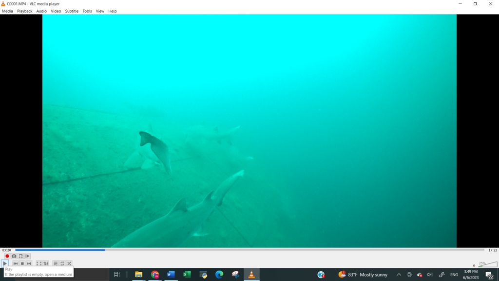 656f1c8d-9a4e-4723-9d43-9a1ee84217ba