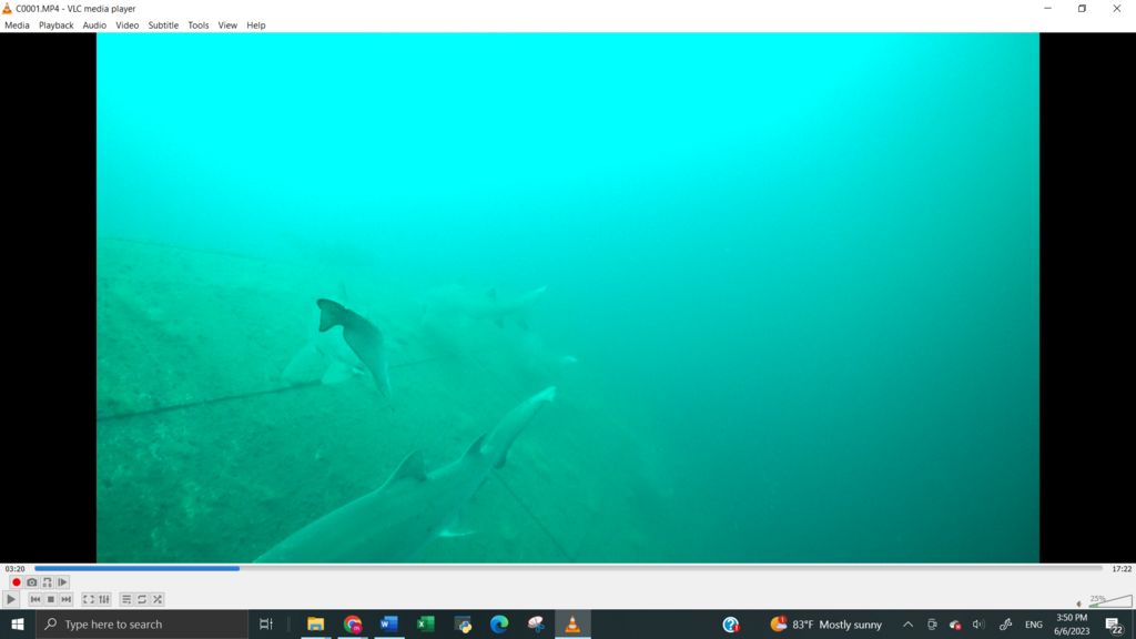 656f1c8d-9a4e-4723-9d43-9a1ee84217ba