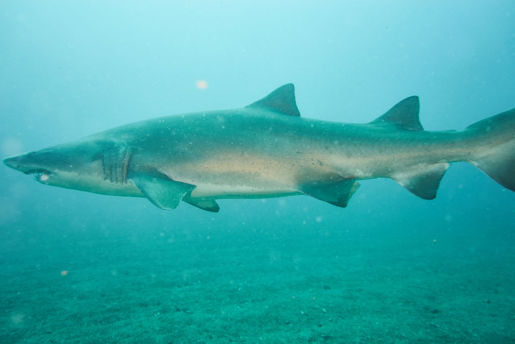 a3e6785d-3bec-408a-8477-fd561e3c23e1