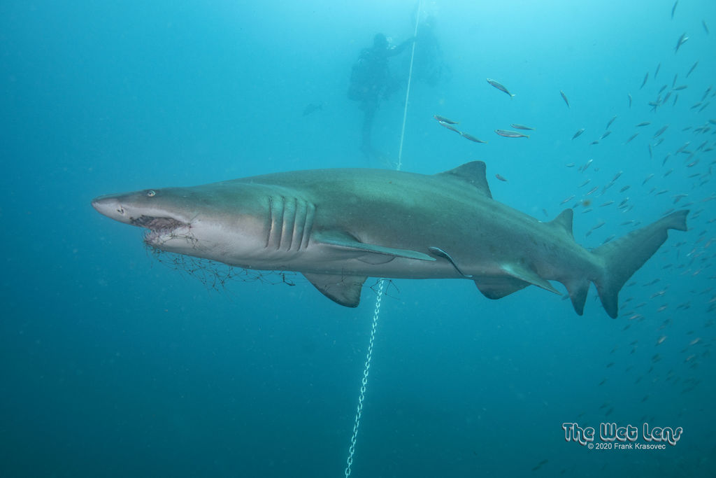 cc8a1613-6fde-4933-90fb-2d408bc19bd0