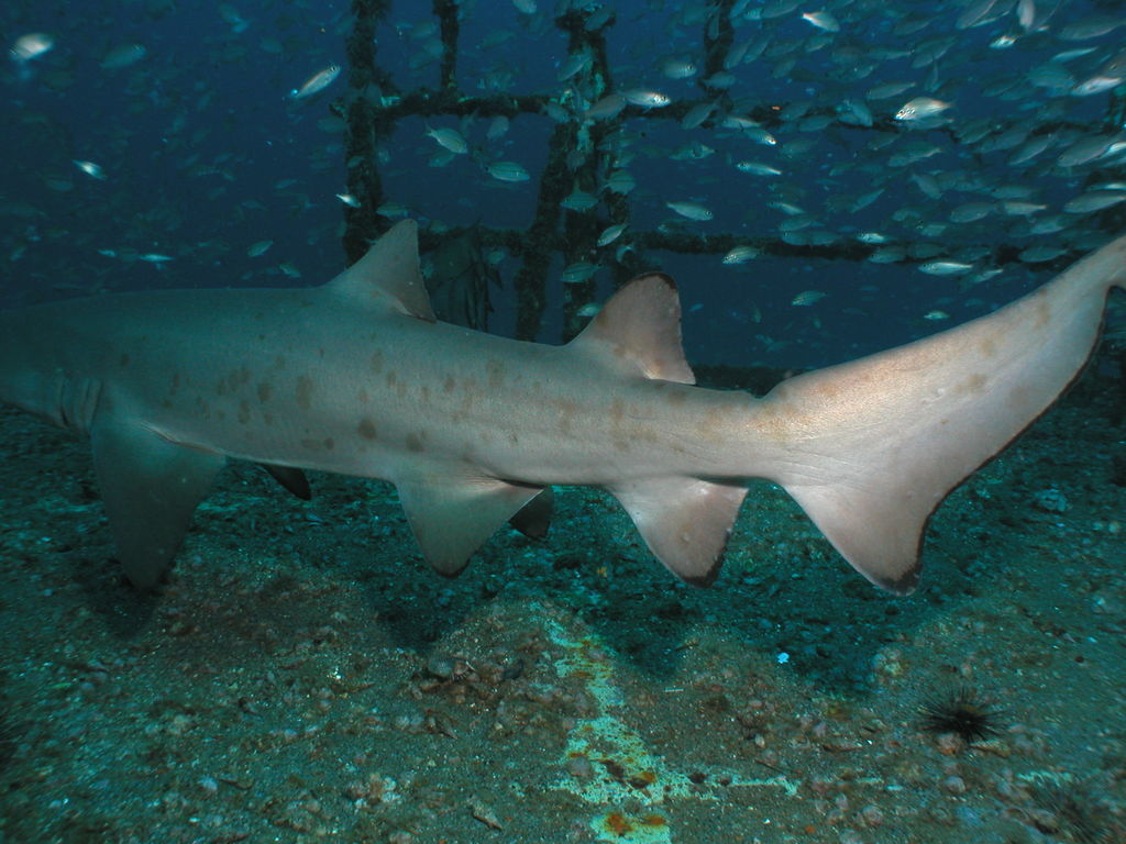 fa924399-147d-425e-af66-6dd5d0466215