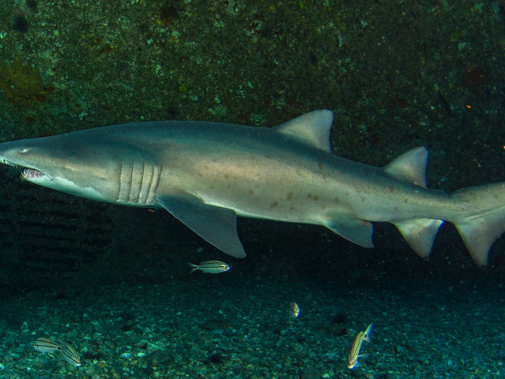 db509d1d-6fb8-4d22-8f67-9124021af9eb