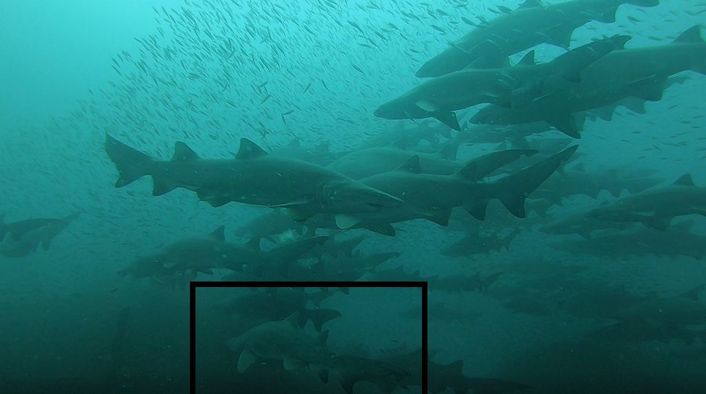 1780255a-5013-4874-b0cc-7dbcf8bc3e0b