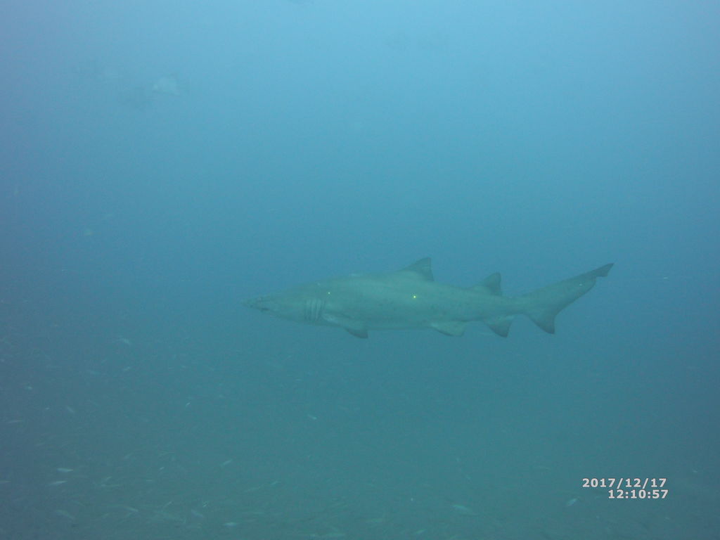 0840acf5-118f-4347-a902-17611c28a388