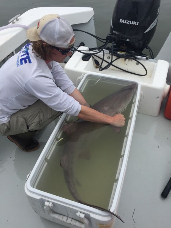 1ec09e12-c5ba-4563-a6be-ab21bb801cb6