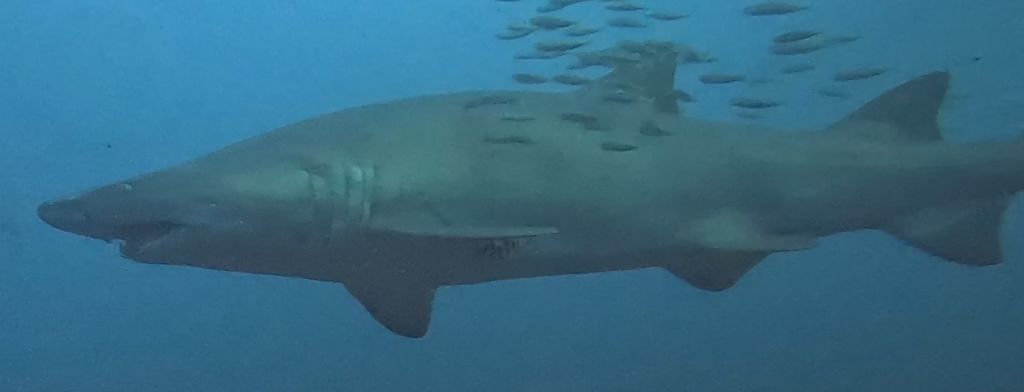 381f6204-24a2-42ef-8046-65d9e76a849b