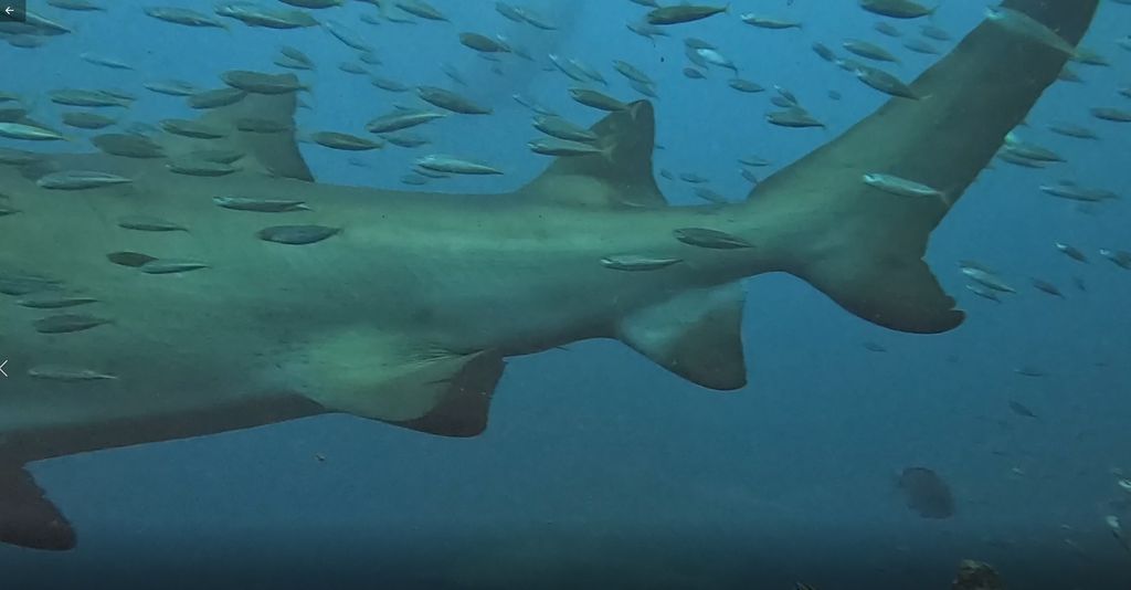 381f6204-24a2-42ef-8046-65d9e76a849b