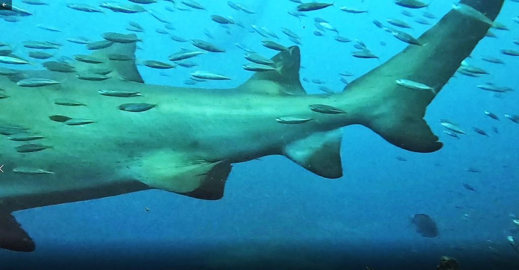 381f6204-24a2-42ef-8046-65d9e76a849b