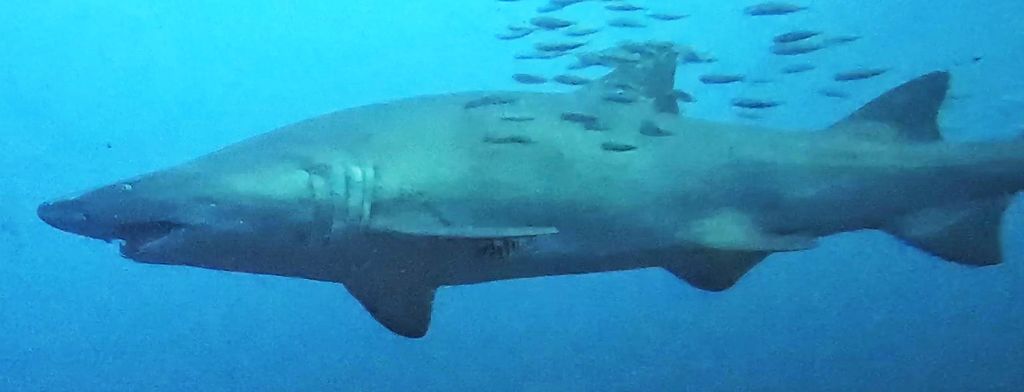 381f6204-24a2-42ef-8046-65d9e76a849b