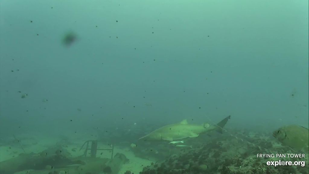 0f897cac-f02c-4062-8639-59473d02a125