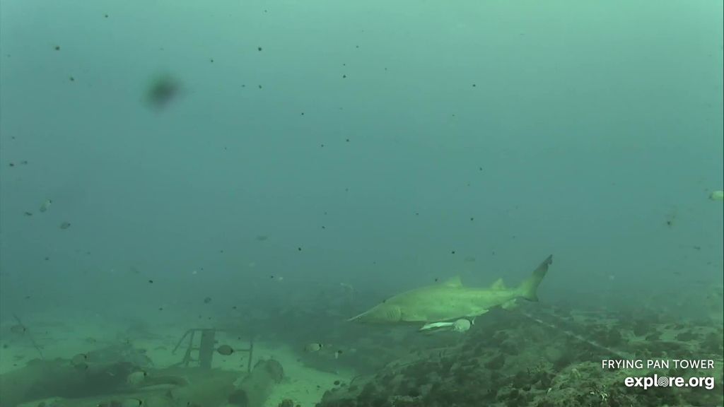 0f897cac-f02c-4062-8639-59473d02a125