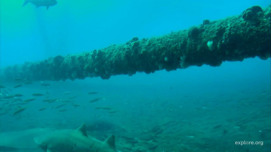 dc6c77b4-63ef-451e-b7e9-0301c9efaaa9