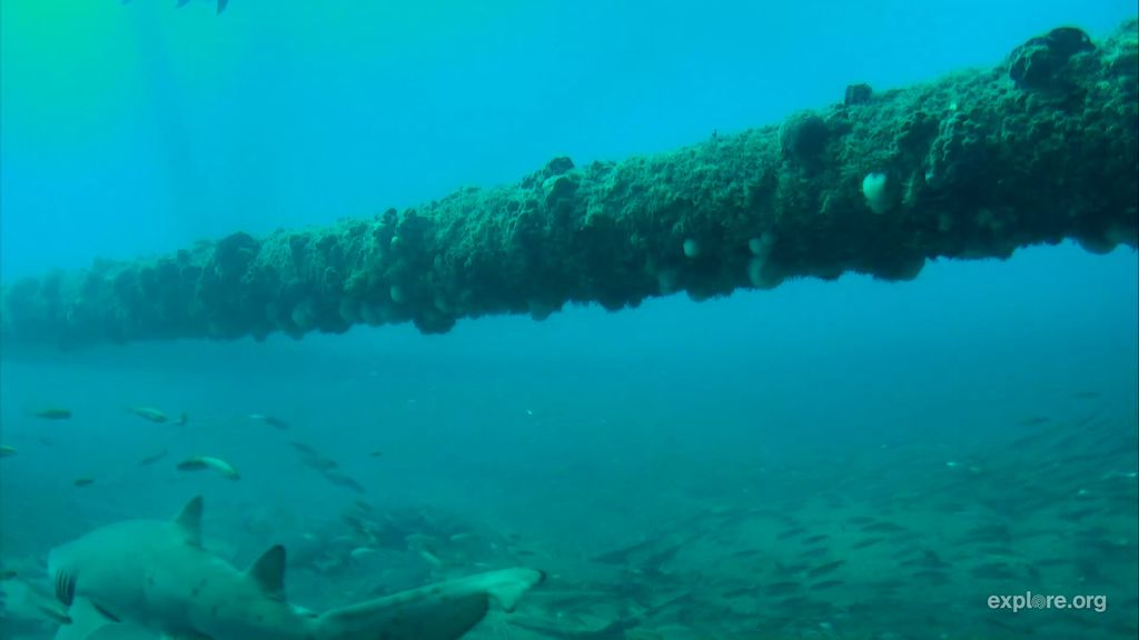 dc6c77b4-63ef-451e-b7e9-0301c9efaaa9