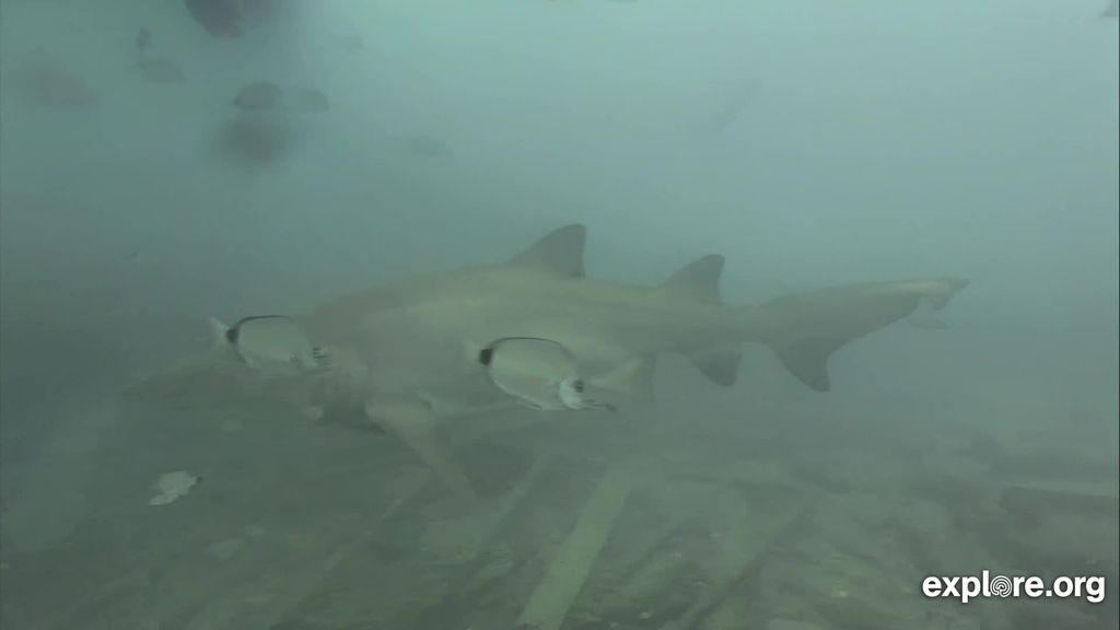 6479803d-cd1c-4618-8383-1508ebf760d5