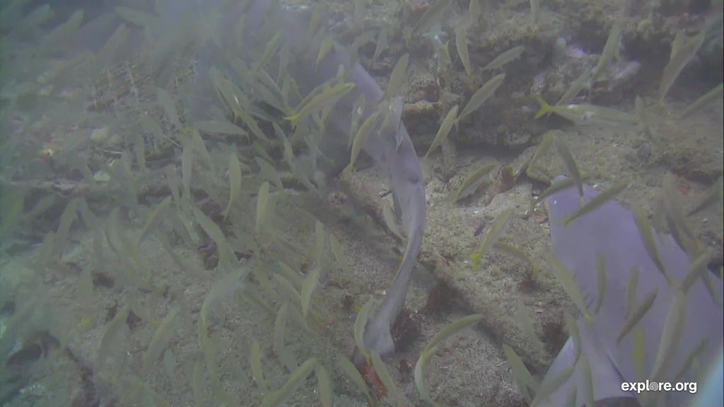 d3f8da20-1fda-4084-aaa8-e27028c24814