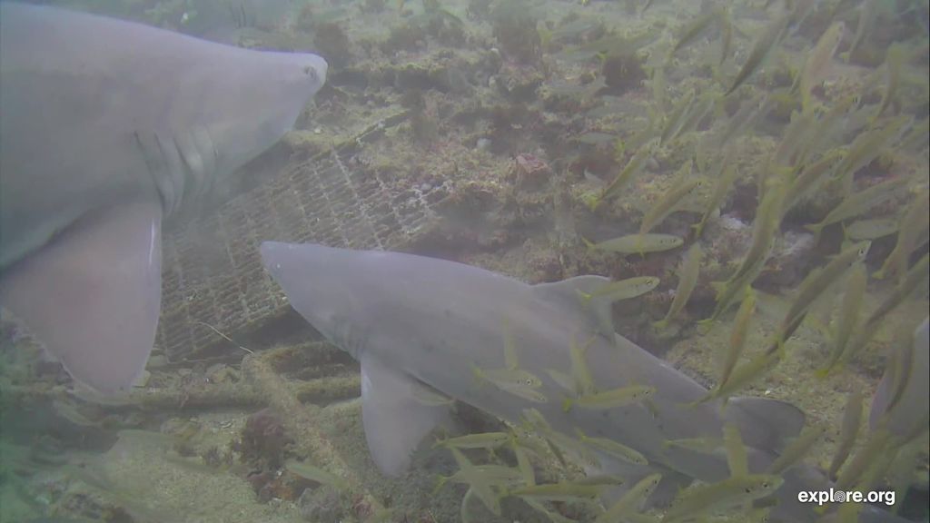 d3f8da20-1fda-4084-aaa8-e27028c24814