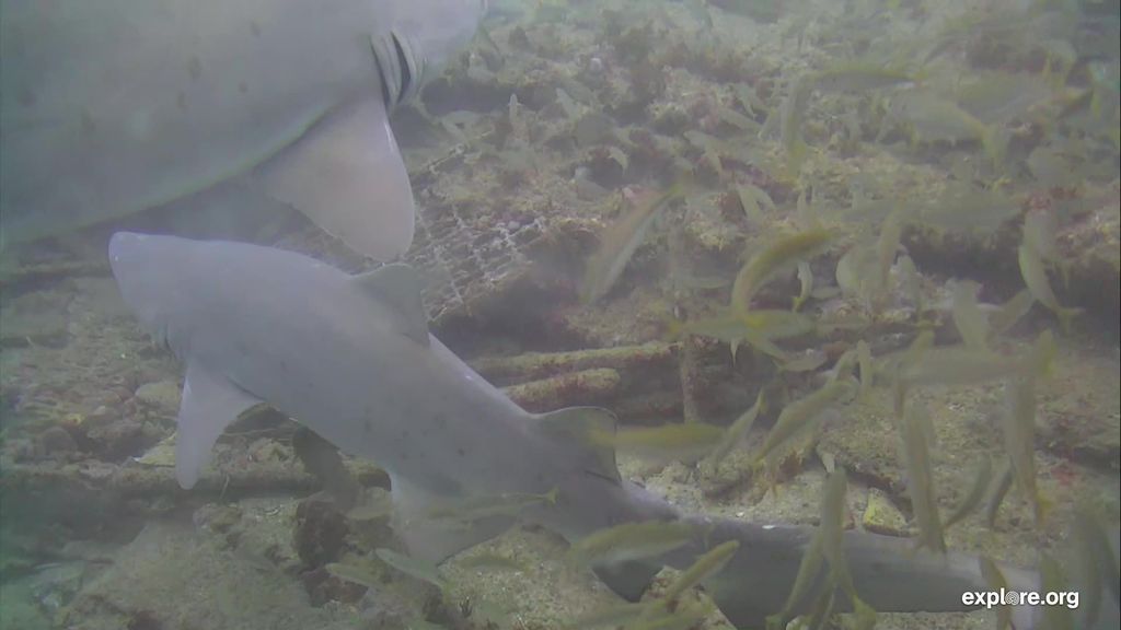 d3f8da20-1fda-4084-aaa8-e27028c24814