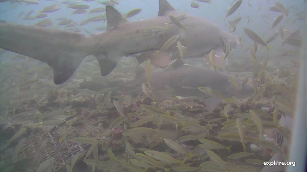 d3f8da20-1fda-4084-aaa8-e27028c24814