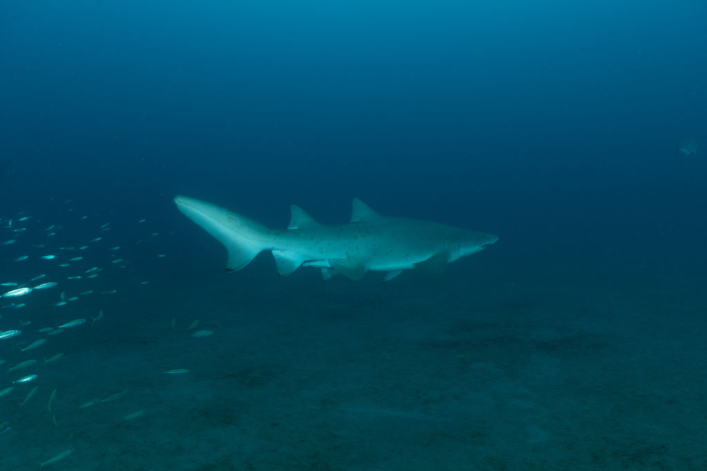 086c486c-6ac1-4171-800e-81bc6a89c5f1