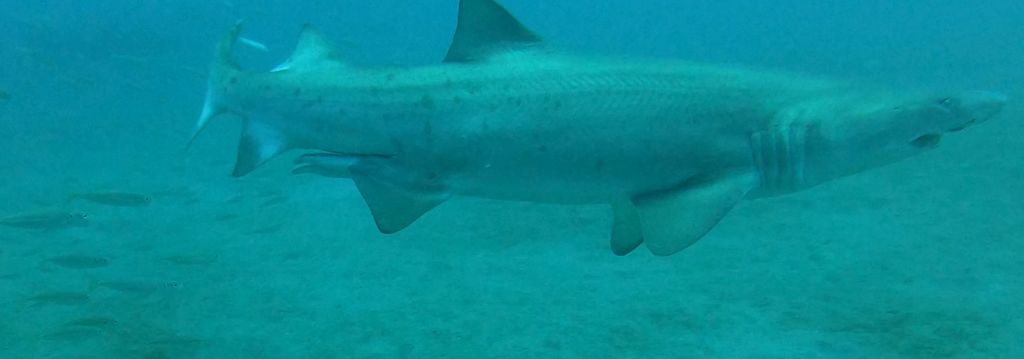 086c486c-6ac1-4171-800e-81bc6a89c5f1