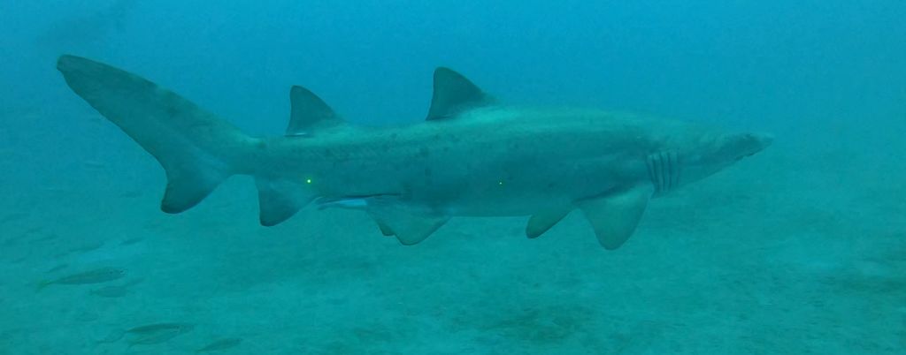 086c486c-6ac1-4171-800e-81bc6a89c5f1