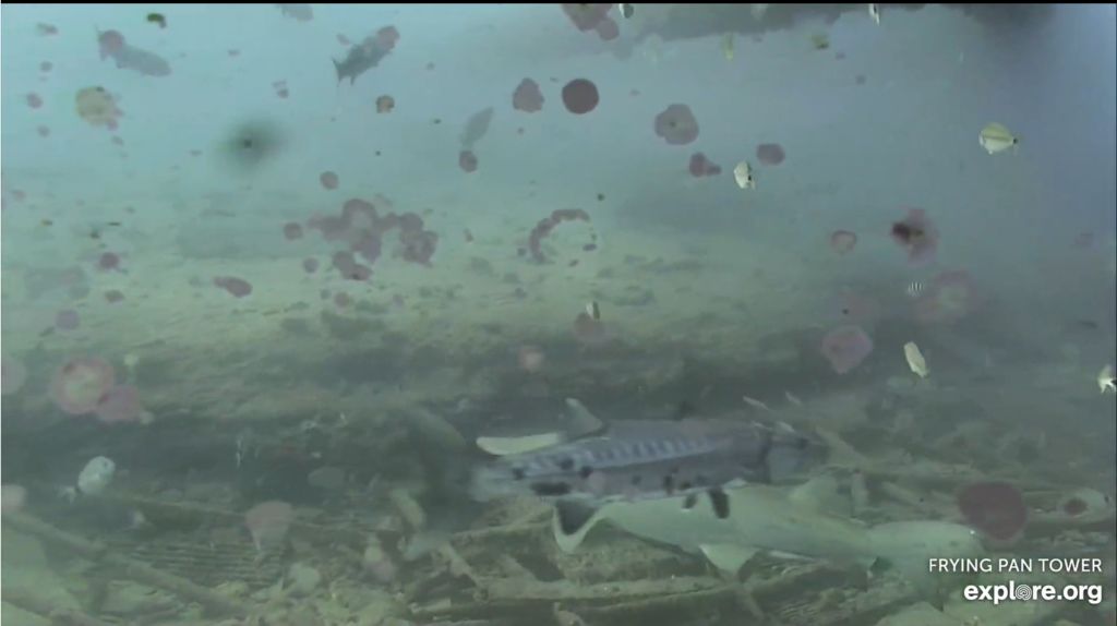 b7746ffb-641d-479c-a74a-9527a9306763