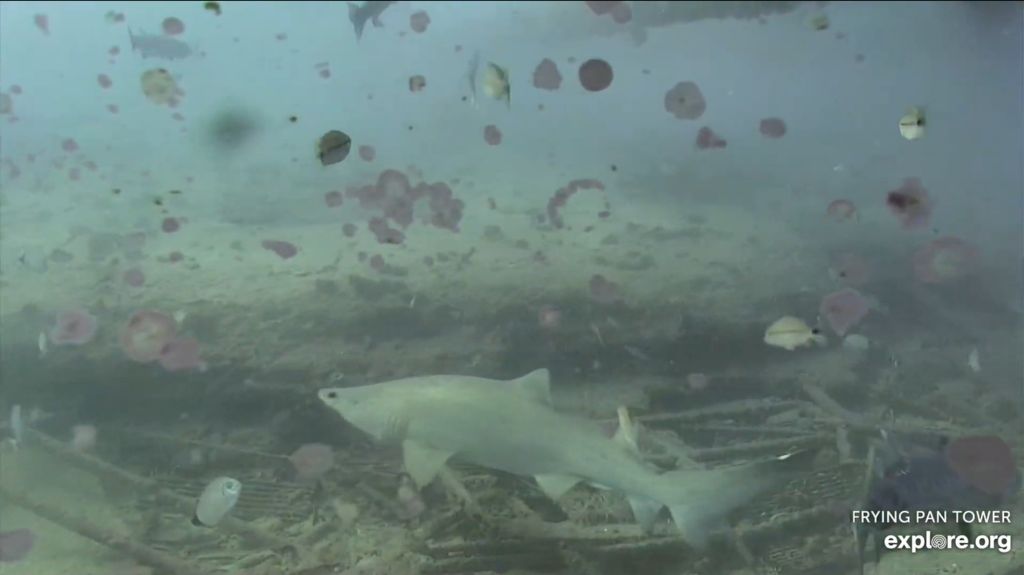 b7746ffb-641d-479c-a74a-9527a9306763