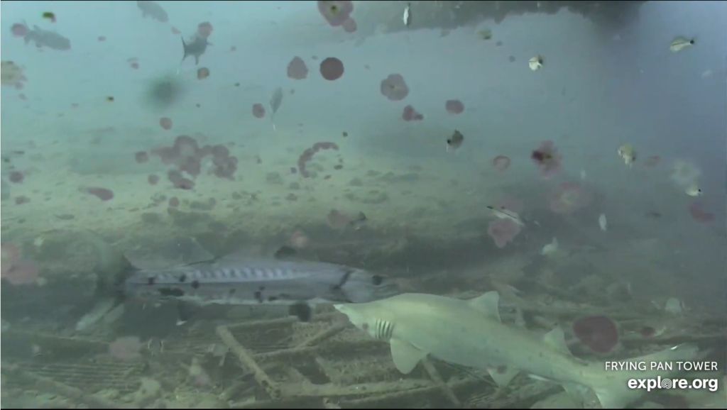 b7746ffb-641d-479c-a74a-9527a9306763