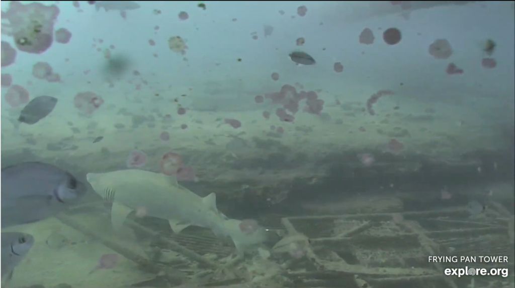 b7746ffb-641d-479c-a74a-9527a9306763