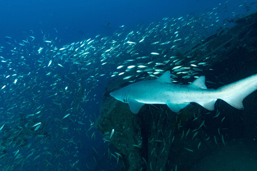 4ba4251a-18df-49ae-b06b-874400370f56