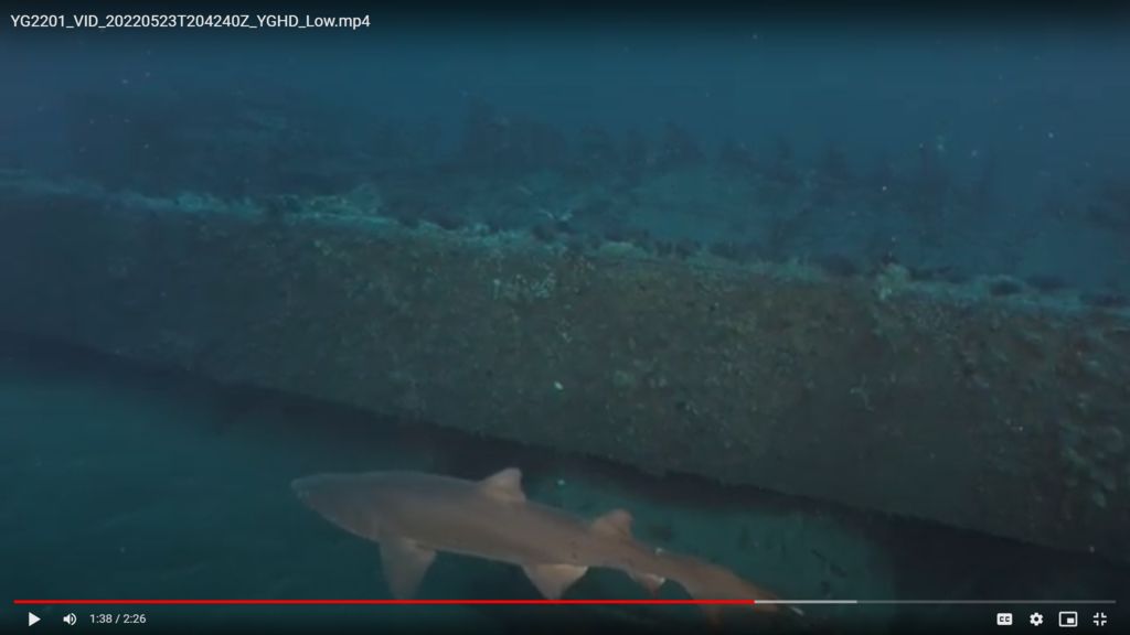 9444a844-7870-48b4-88f8-de50f4a07ed3