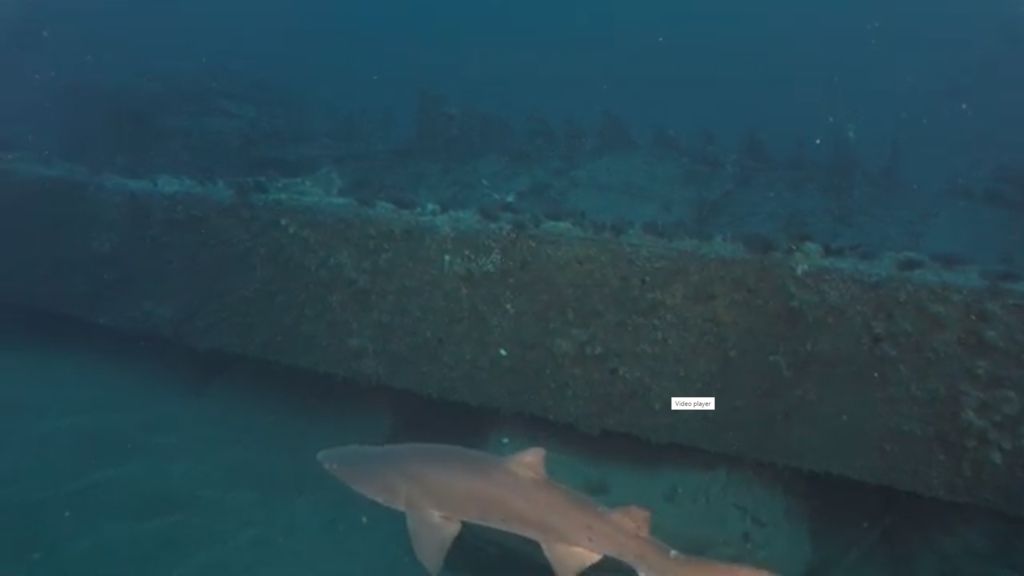 9444a844-7870-48b4-88f8-de50f4a07ed3