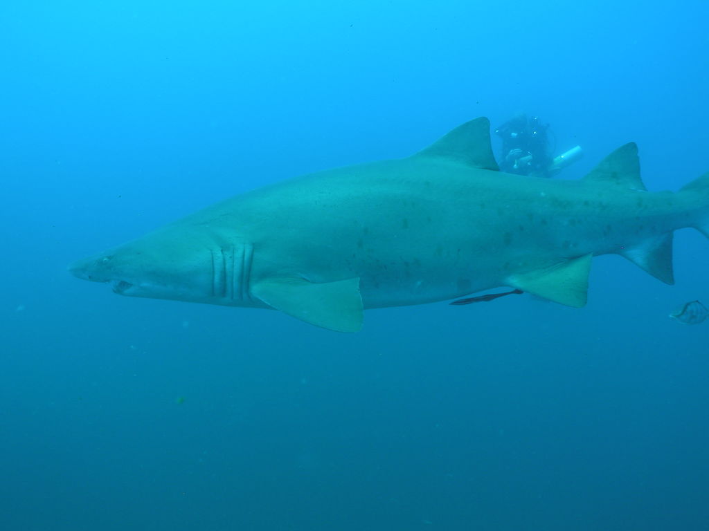 42e4a581-7a0e-4bb4-a65d-96d49c87323a