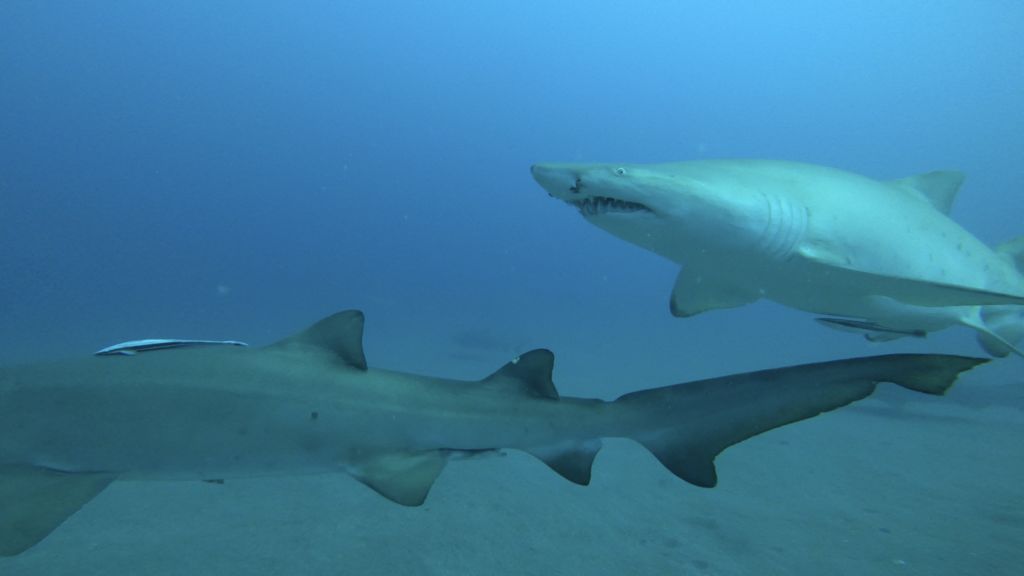 24abe8b3-93c2-46af-99fb-59c4fa2cf86f